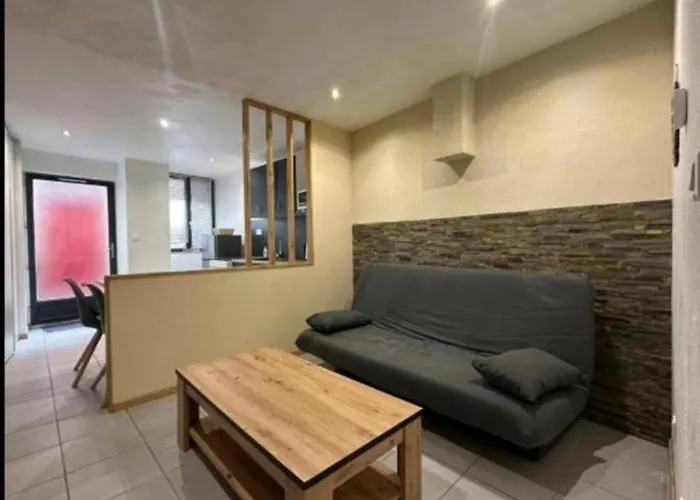 Appartement Le Repaire Sarrecrochet *